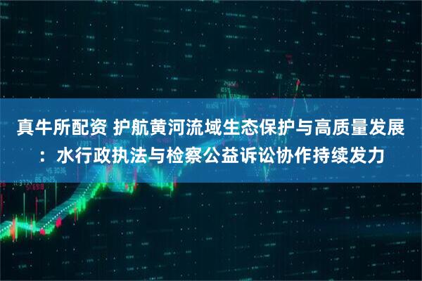 真牛所配资 护航黄河流域生态保护与高质量发展：水行政执法与检察公益诉讼协作持续发力