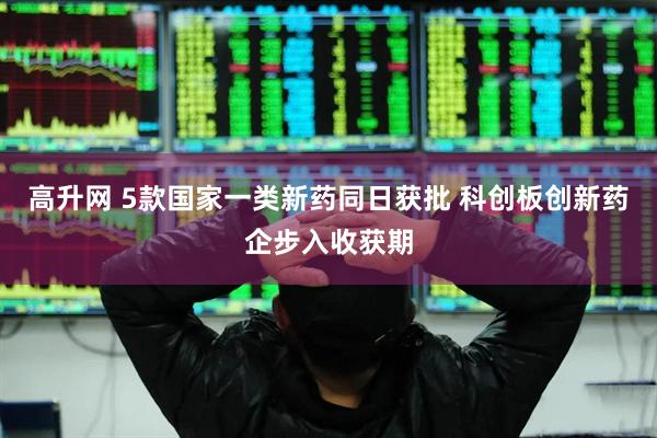 高升网 5款国家一类新药同日获批 科创板创新药企步入收获期