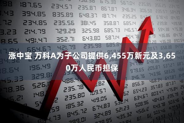 涨中宝 万科A为子公司提供6,455万新元及3,650万人民币担保