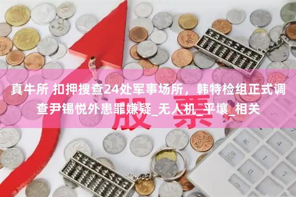 真牛所 扣押搜查24处军事场所，韩特检组正式调查尹锡悦外患罪嫌疑_无人机_平壤_相关