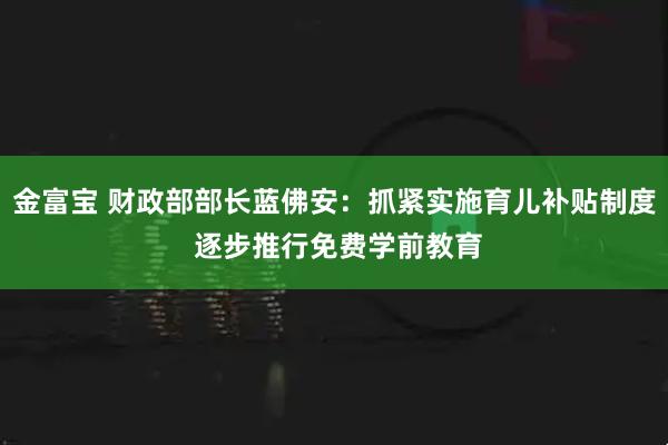 金富宝 财政部部长蓝佛安：抓紧实施育儿补贴制度 逐步推行免费学前教育