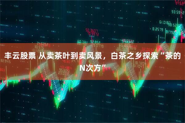 丰云股票 从卖茶叶到卖风景，白茶之乡探索“茶的N次方”