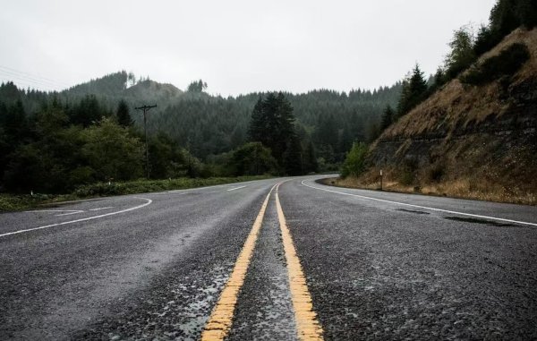 广盛配资 吉林一女子驾车撞翻黑熊致其死亡，司机平安无处罚，网友：痛心之余更要做好防护！